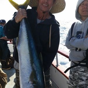 Meet your Posher, Elmer